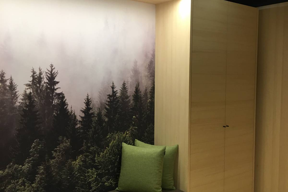 Liegefenster Handwerk Bregenzerwald