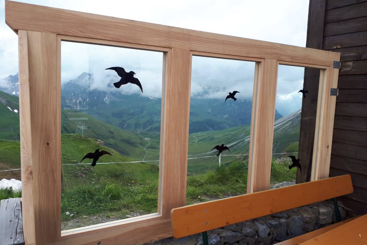 Stuttgarter Hütte Terrassenbau